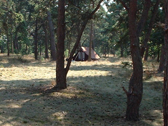 Het hele labelterrein ligt in het bos, op een aantal terreinen zijn er grotere oppen plekken.